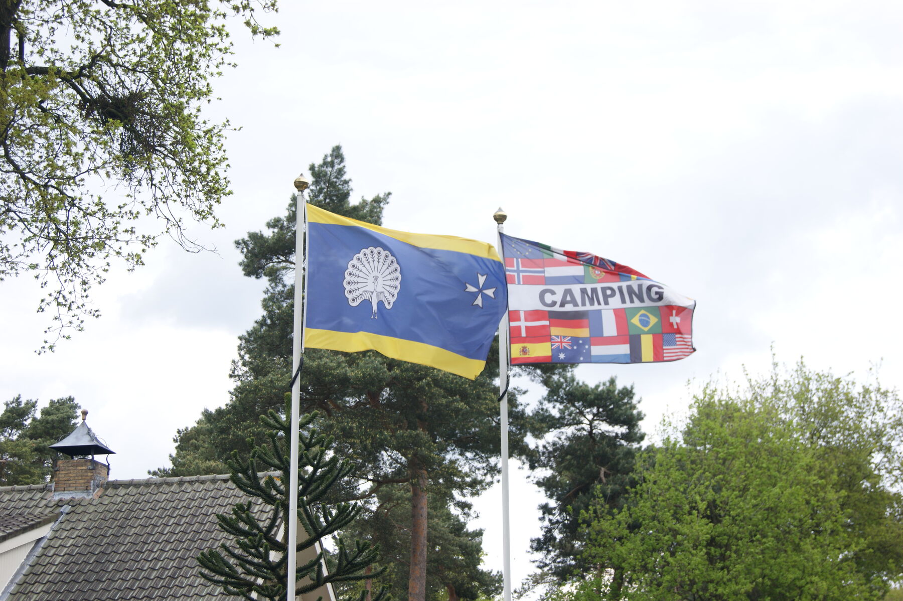 360°-panorama van de entree van Camping De Strokel in Ermelo