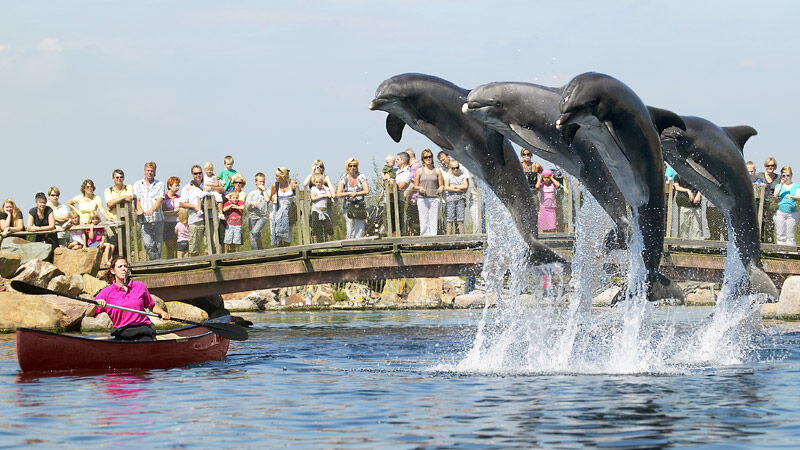 Dolfinarium Harderwijk