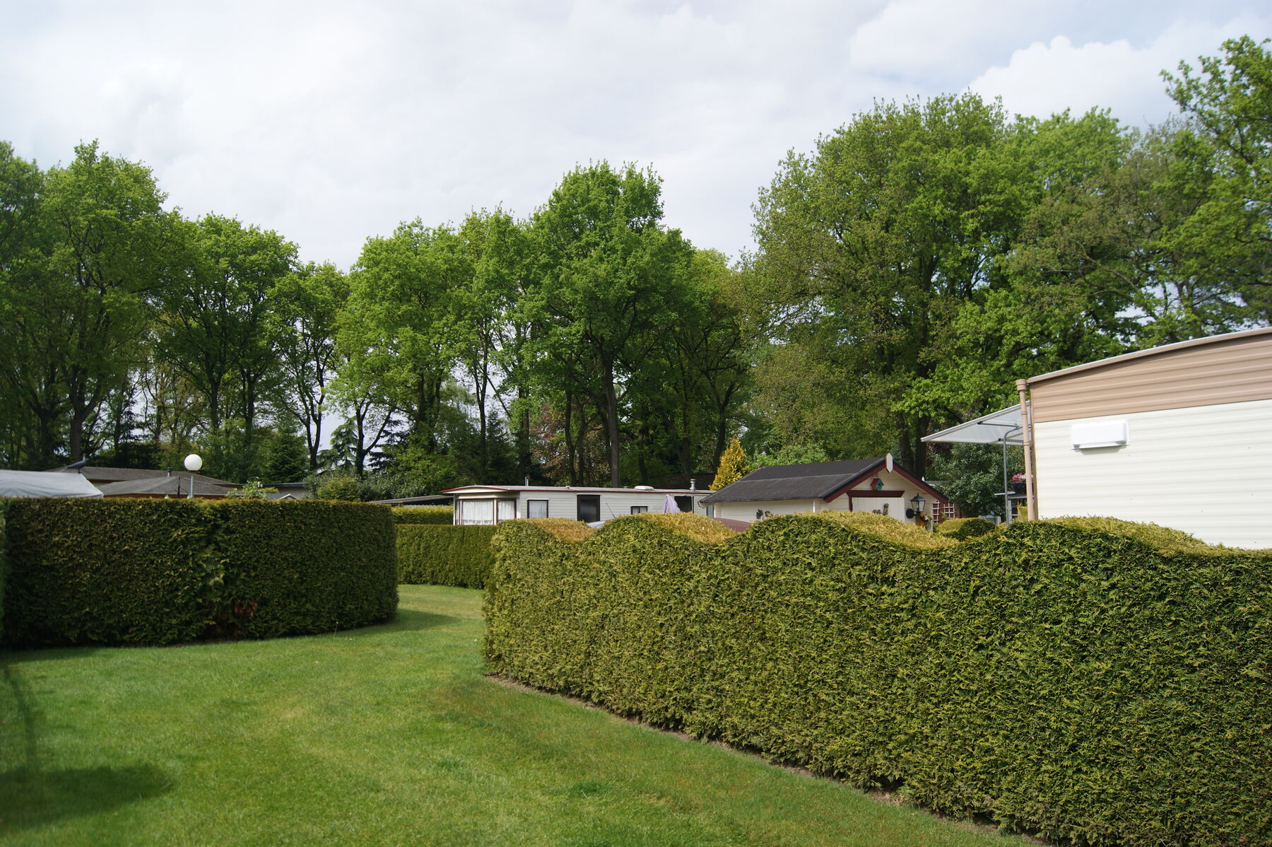 Ruime, groene standplaats onder de bomen